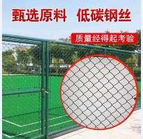 球場圍網1